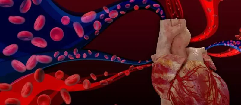 Management of Heart Valve Disease