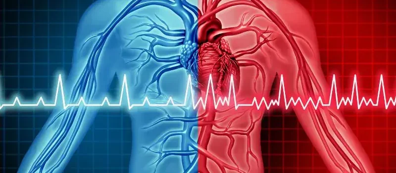 Preoperative Cardiac Assessment