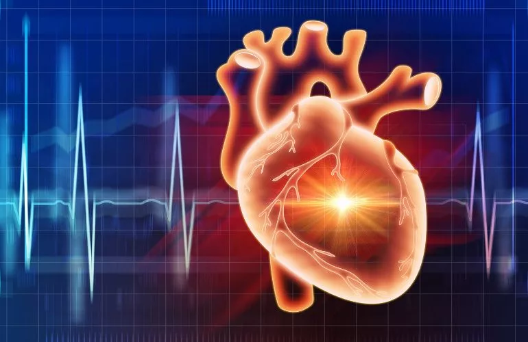 Screening and Prevention of Heart Disease